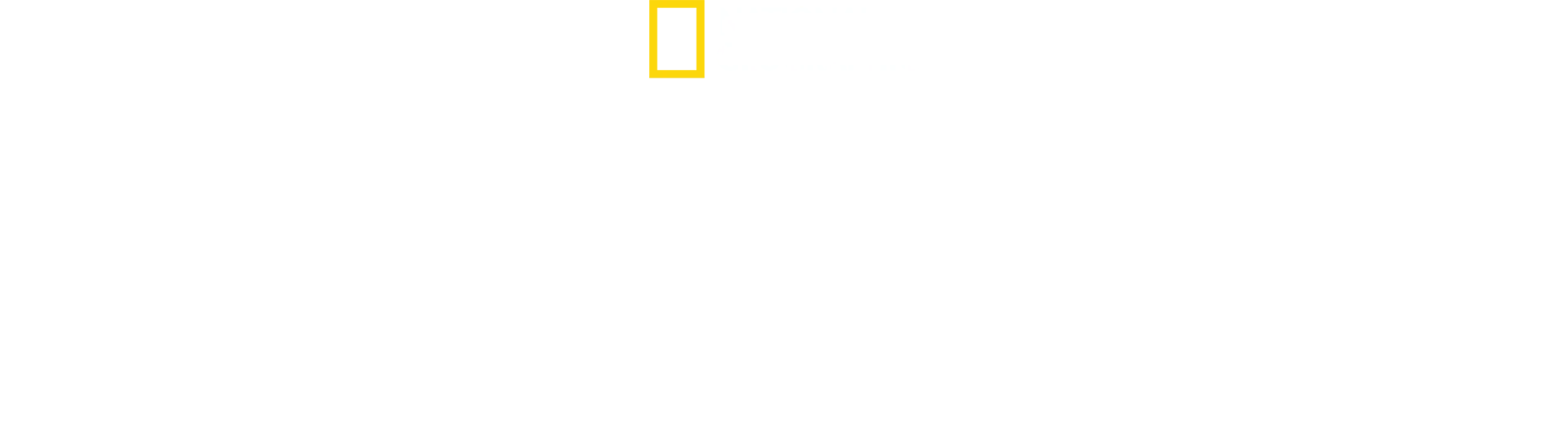 I segreti di…