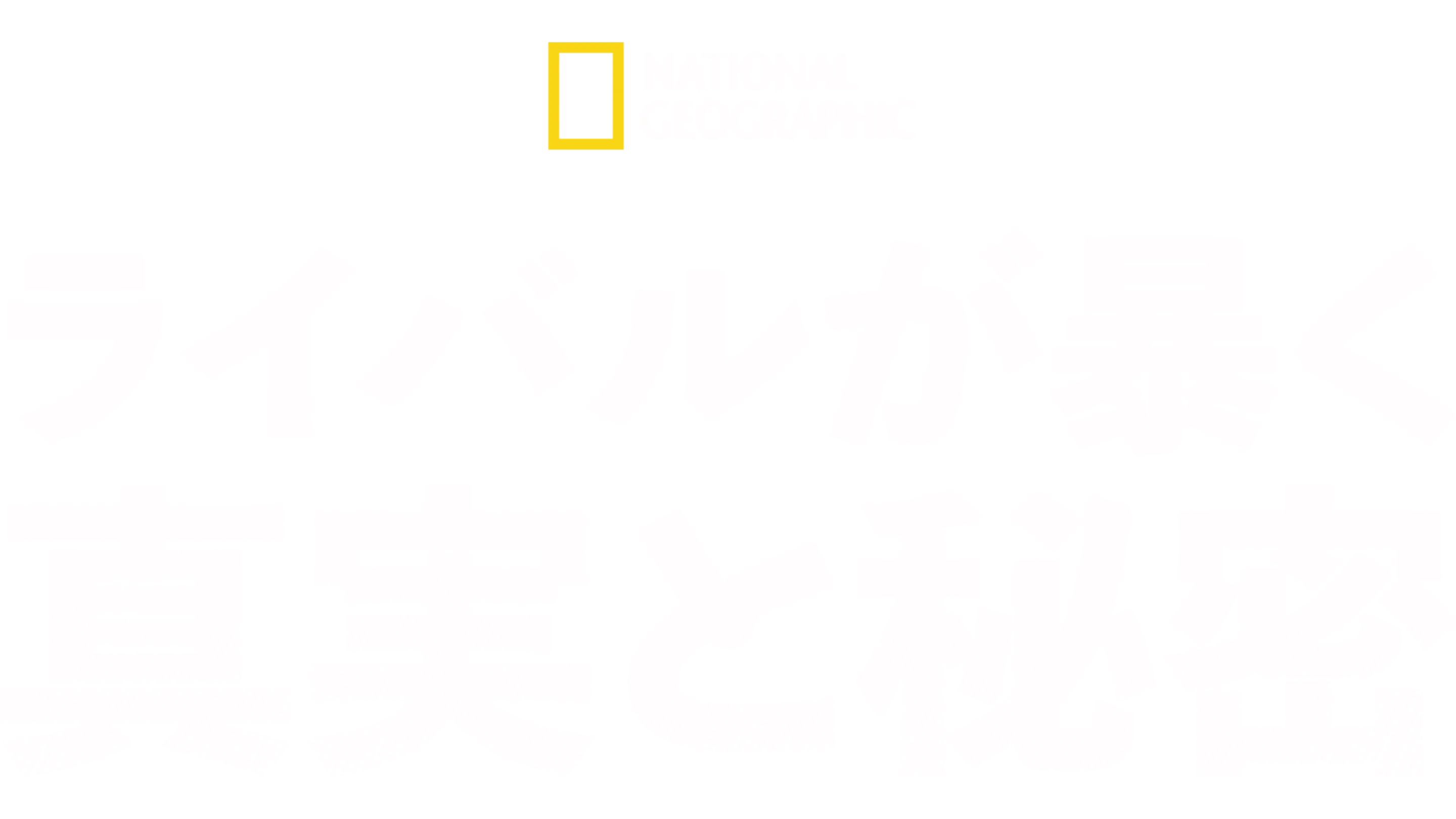 ライバルが暴く 真実と秘密