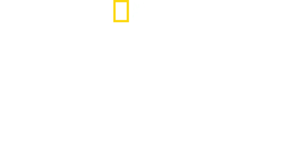 ライバルが暴く 真実と秘密