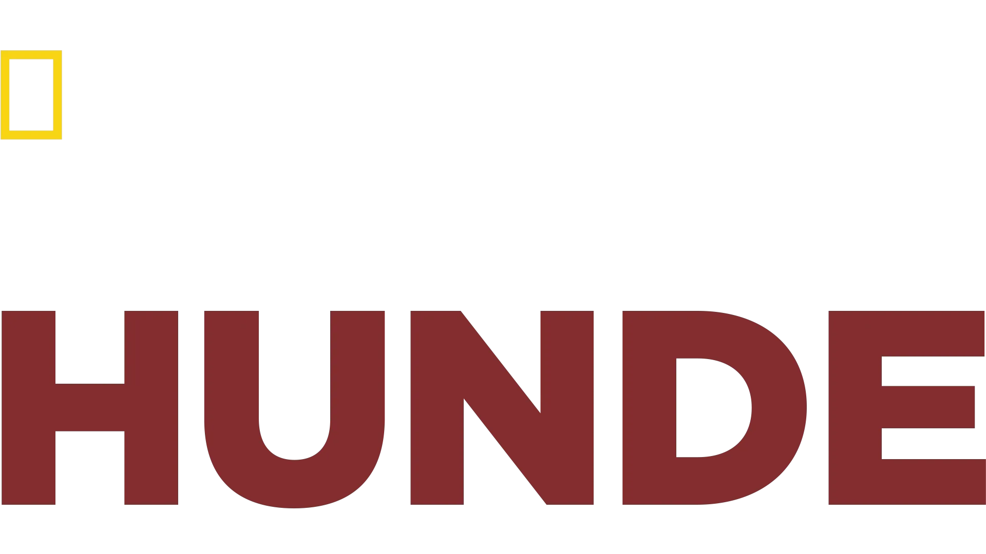 Zweite Chance für Hunde