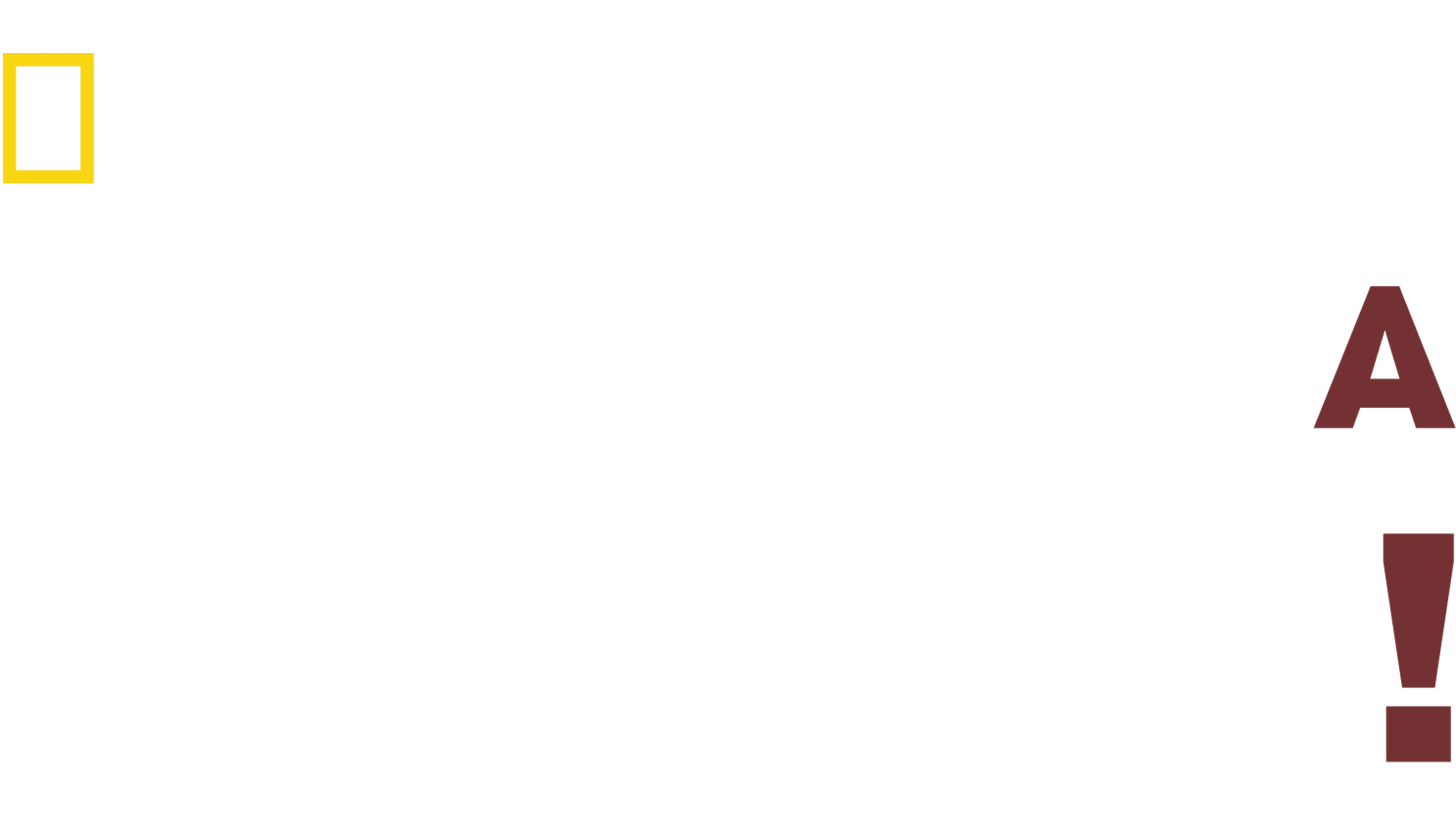 Így neveld a kutyád!