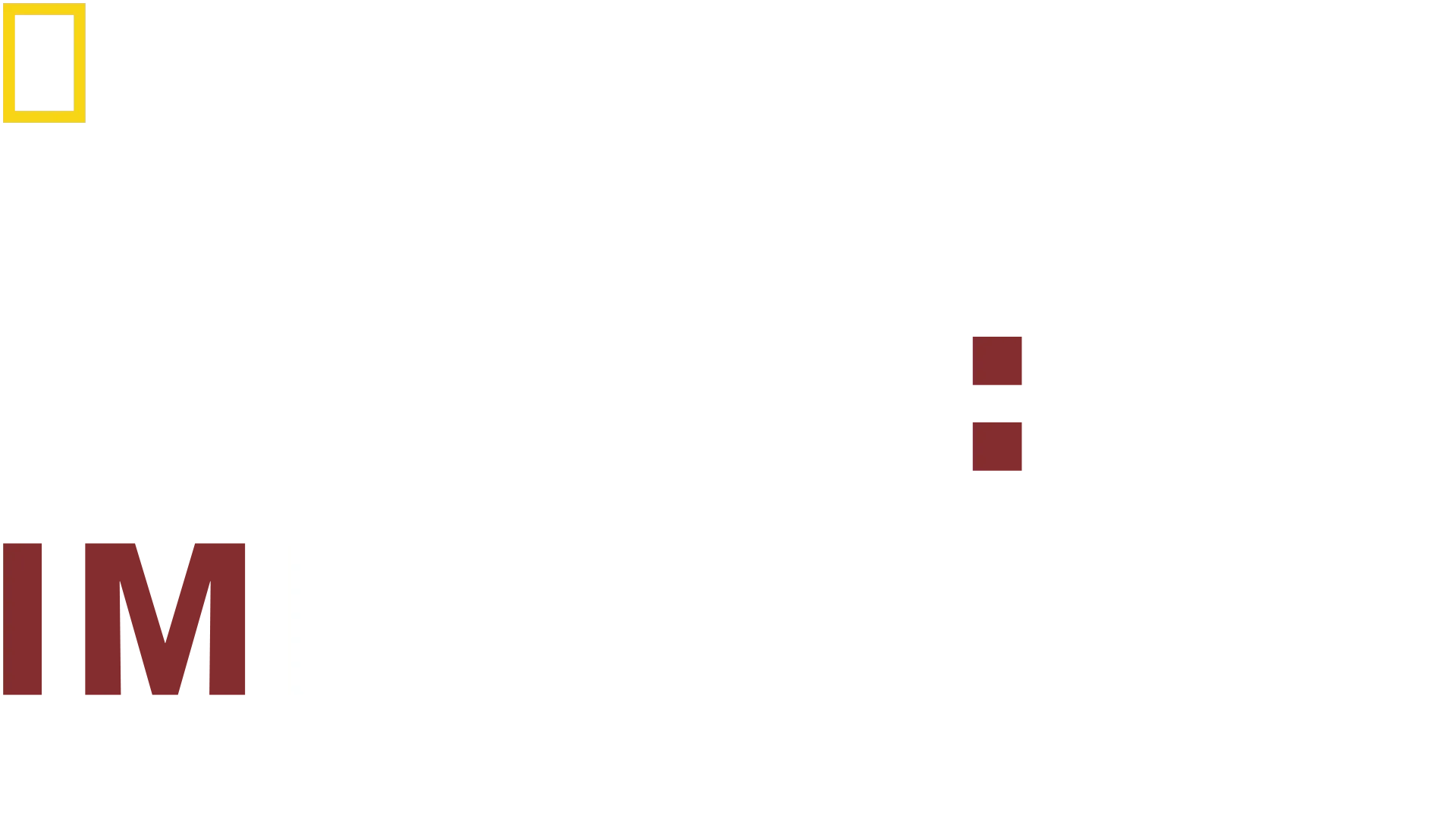 Dog: Impossible-Misión canina
