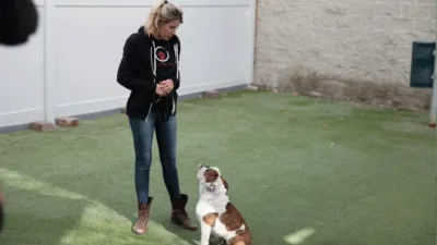 thumbnail - S1:E1 The Tormentor