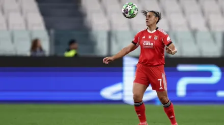 UEFA WCL Hoogtepunten: Benfica - Twente