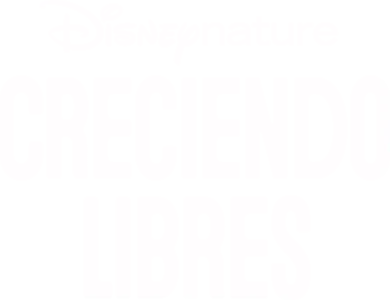 Creciendo libres