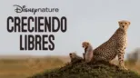 thumbnail - Creciendo libres