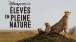 thumbnail - Élevés en pleine nature