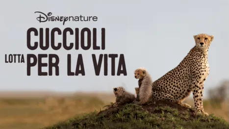 thumbnail - Cuccioli - Lotta per la vita