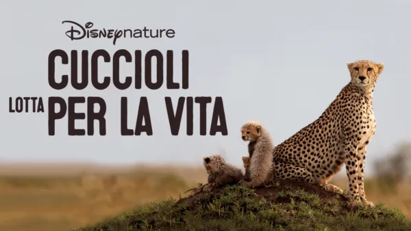 thumbnail - Cuccioli - Lotta per la vita