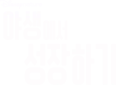 야생에서 성장하기