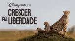 thumbnail - Crescer em Liberdade