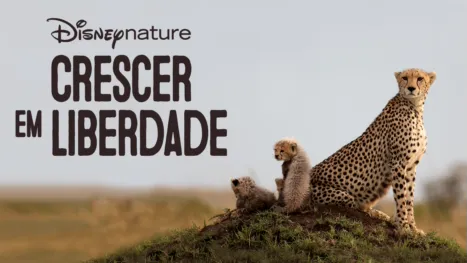 thumbnail - Crescer em Liberdade