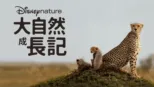 thumbnail - 大自然成長記