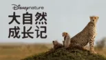 thumbnail - 大自然成长记