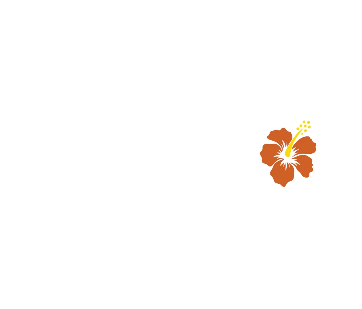 Tohtori Doogie Kamealoha