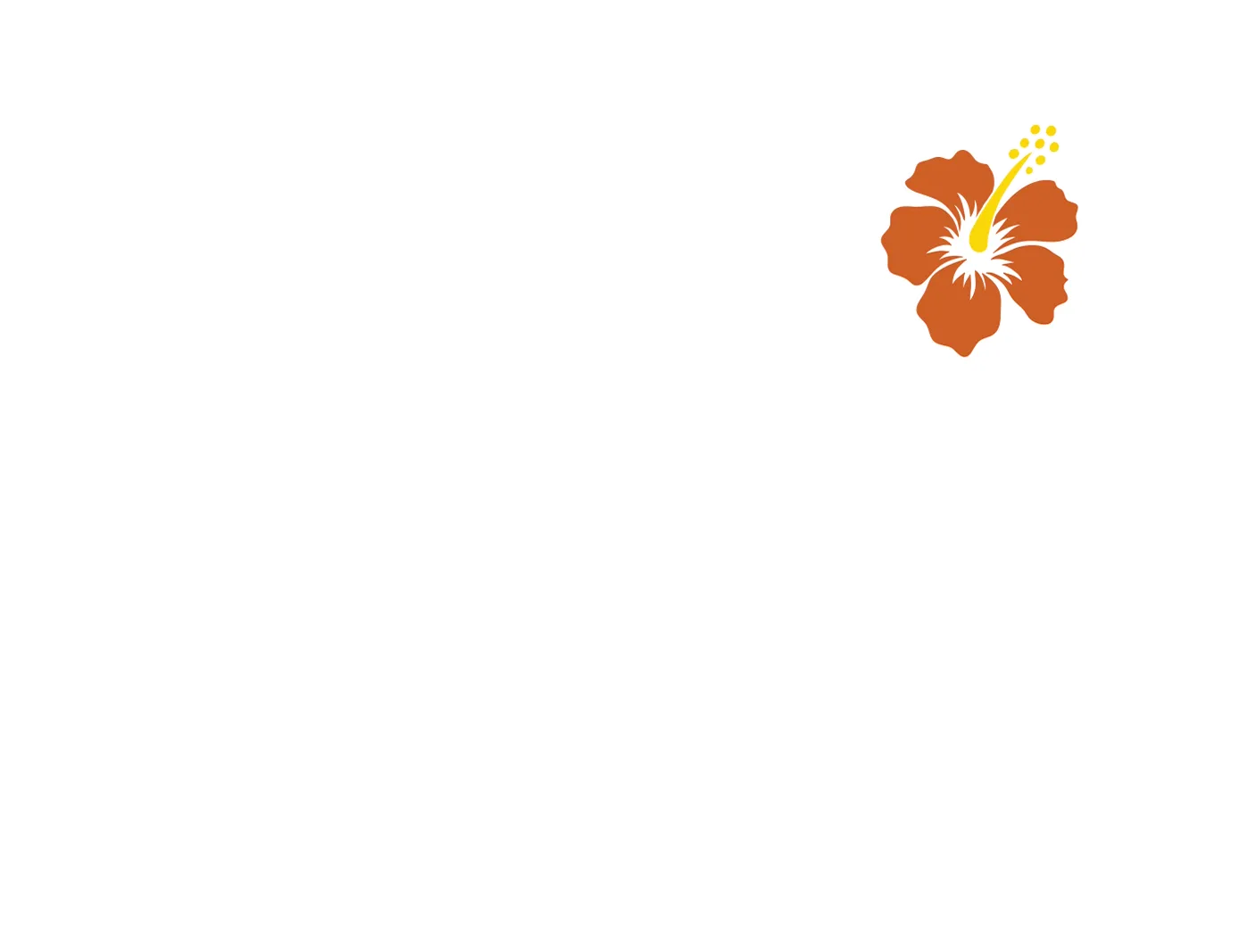 Doogie Kamealoha A Menina Doutora