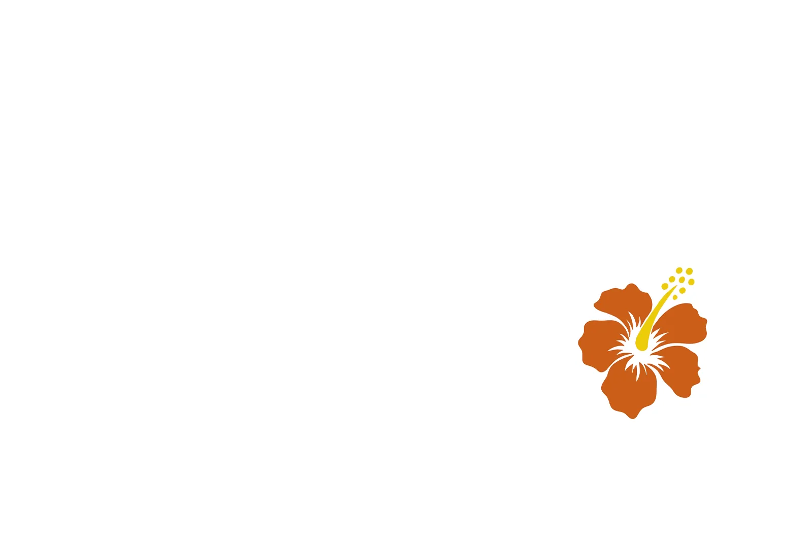 Doktorka Doogie