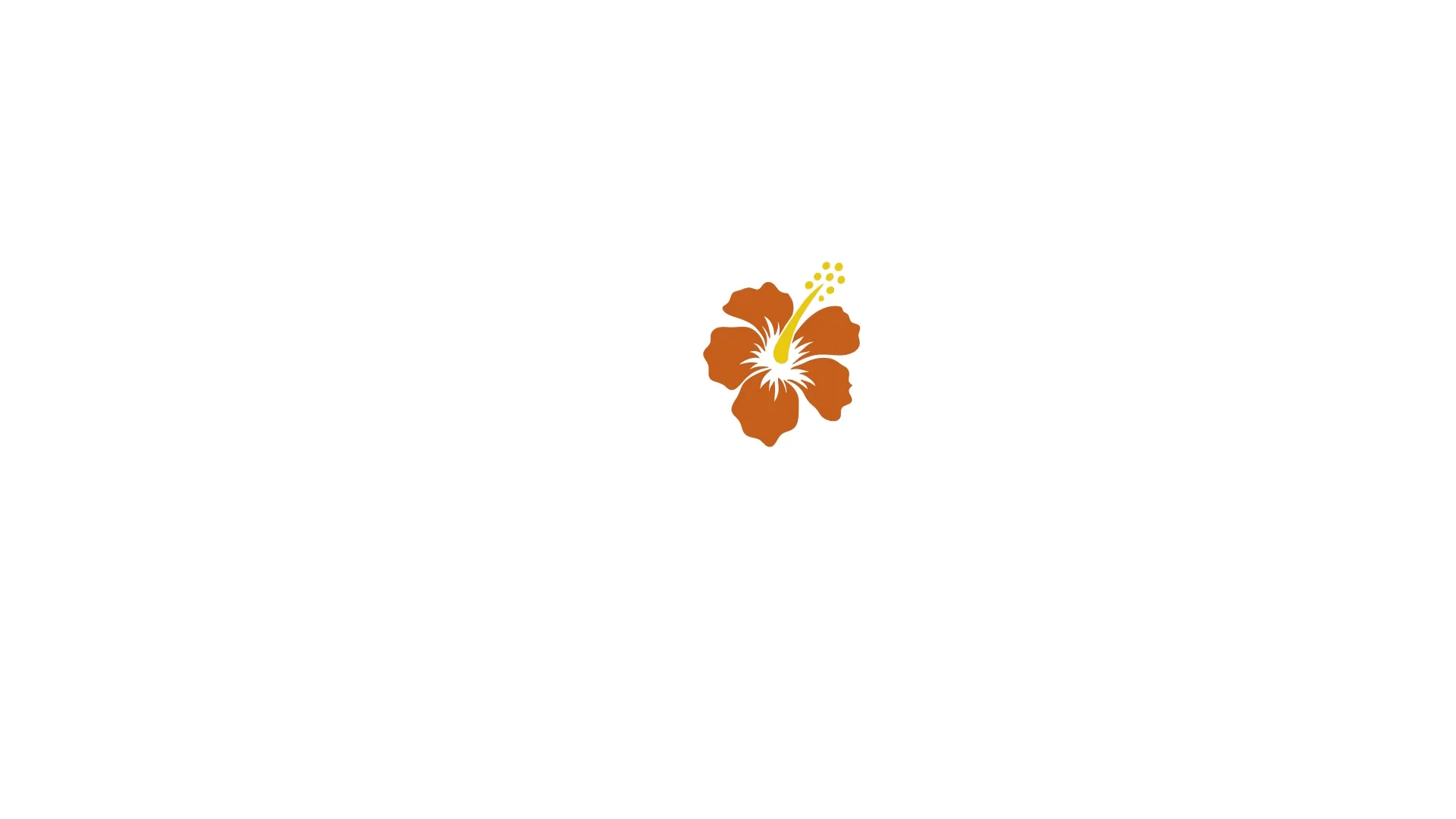 Küçük Doktor Doogie Kameāloha