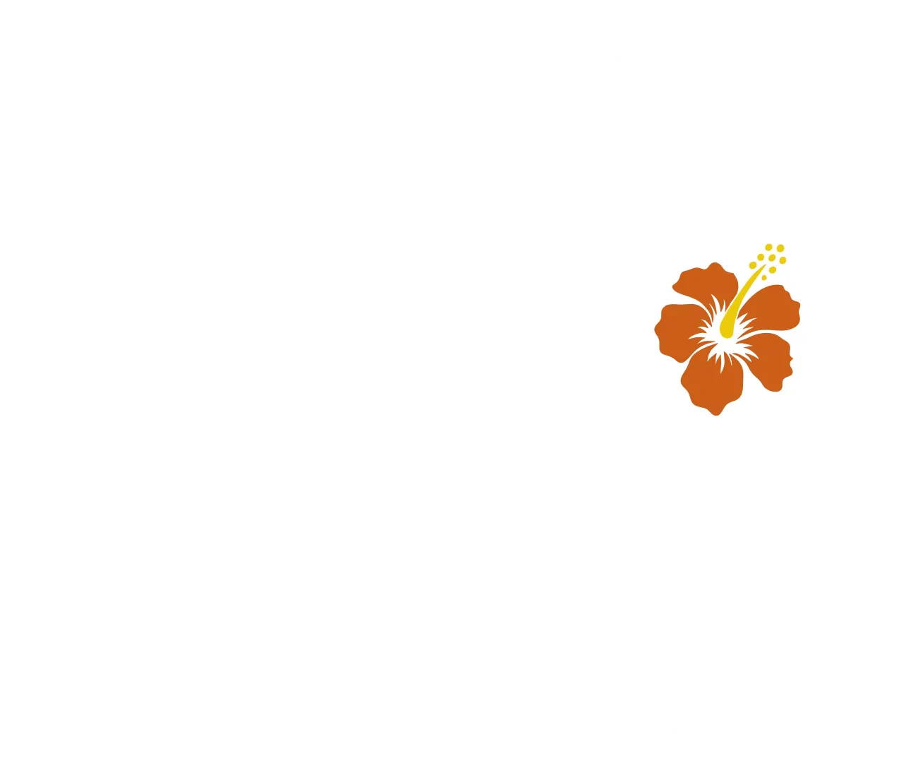 Küçük Doktor Doogie Kameāloha