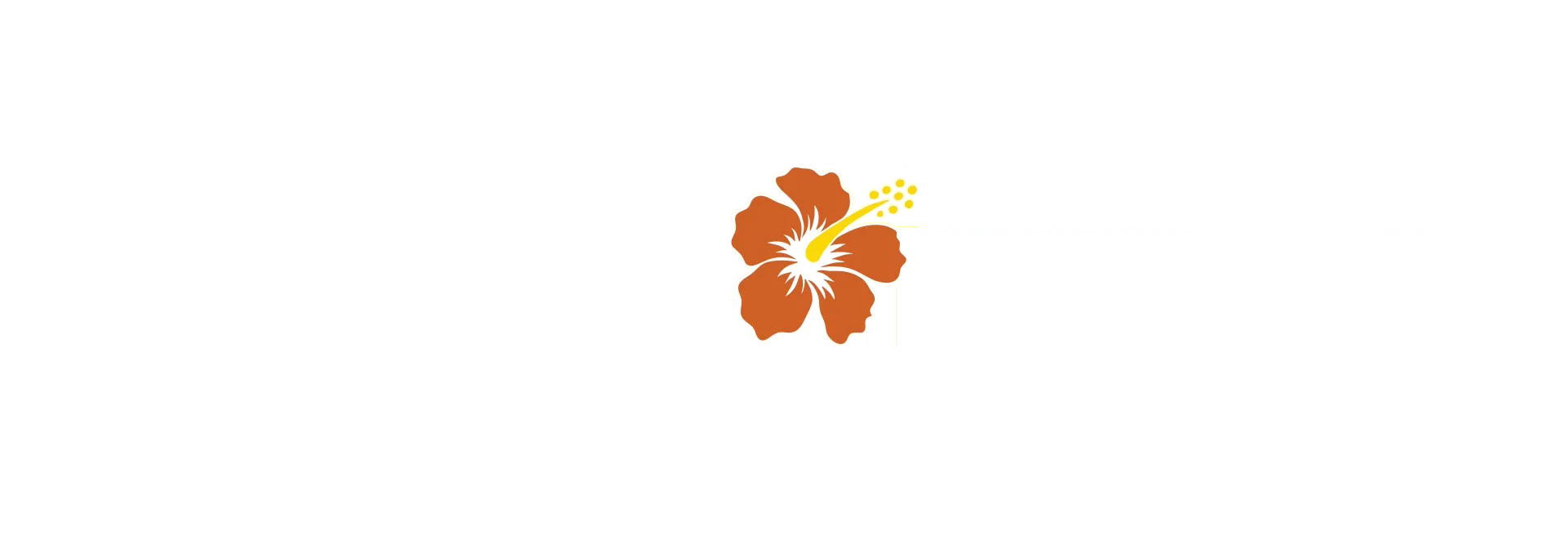 天才女医生 第一季