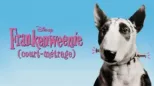 thumbnail - Frankenweenie