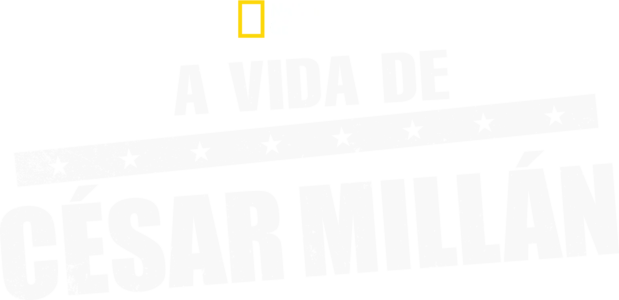 A Vida de César Millán