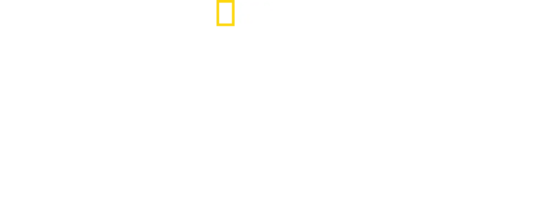 ザ・カリスマ ドッグトレーナー ～自叙伝～