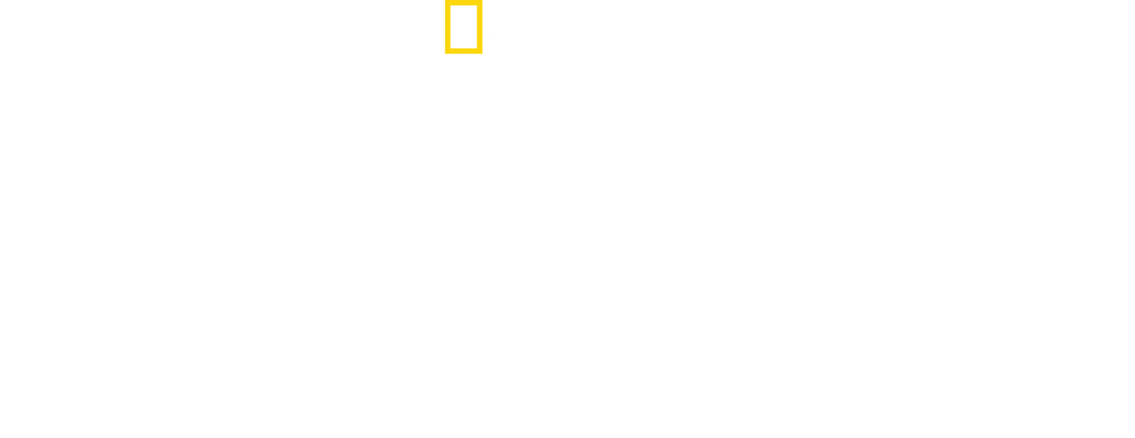ザ・カリスマ ドッグトレーナー ～自叙伝～