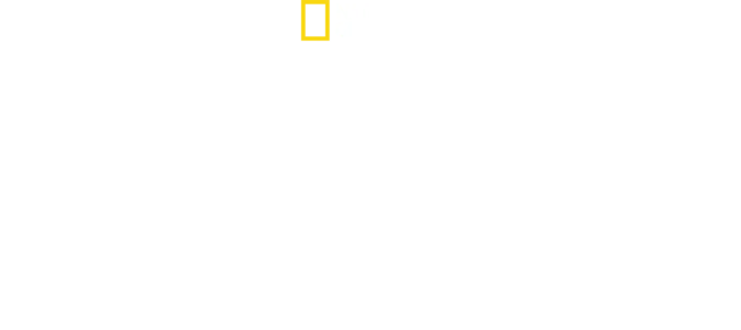 Cesar Millan: Gerçek Bir Hikaye