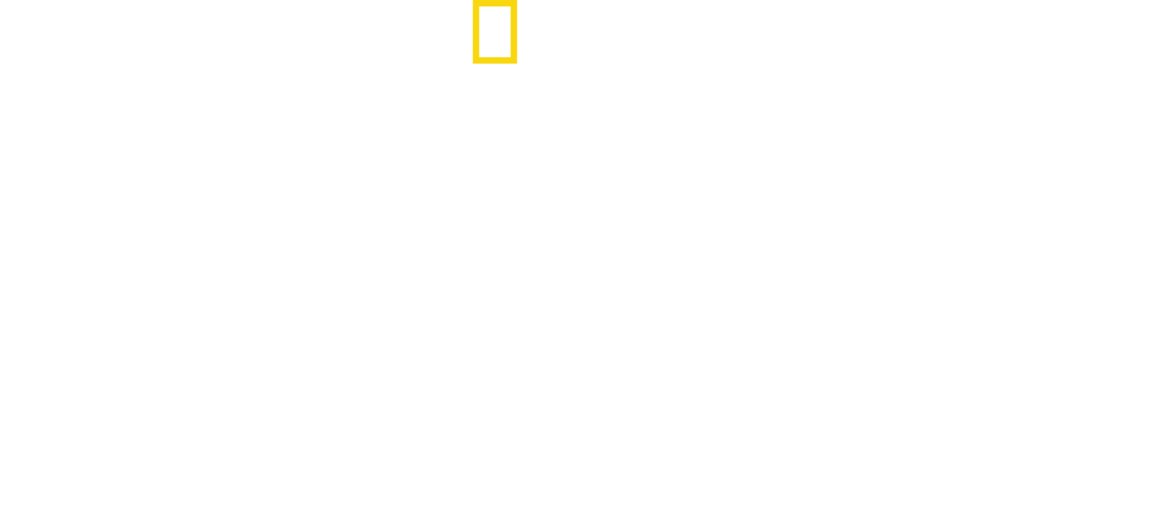 Cesar Millan: Gerçek Bir Hikaye
