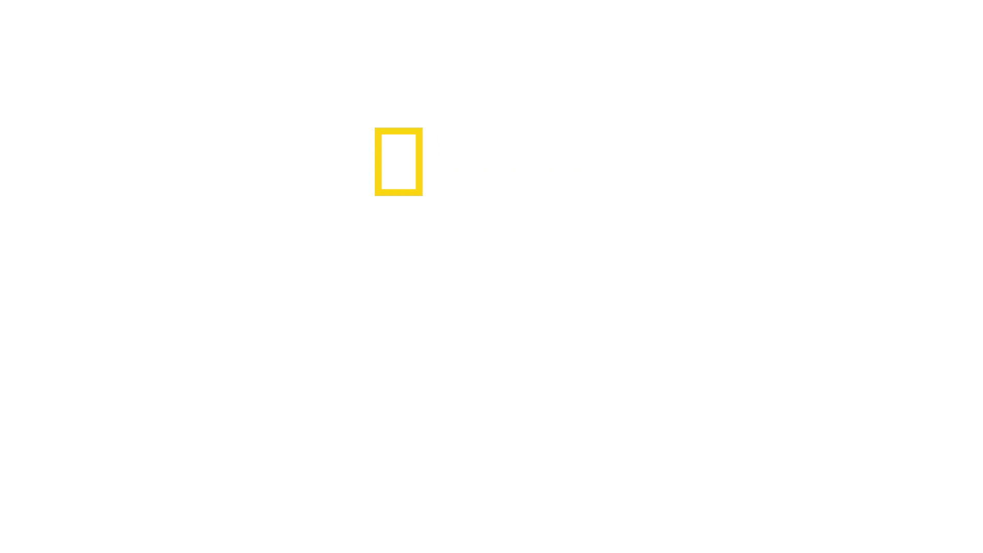 The Rescue