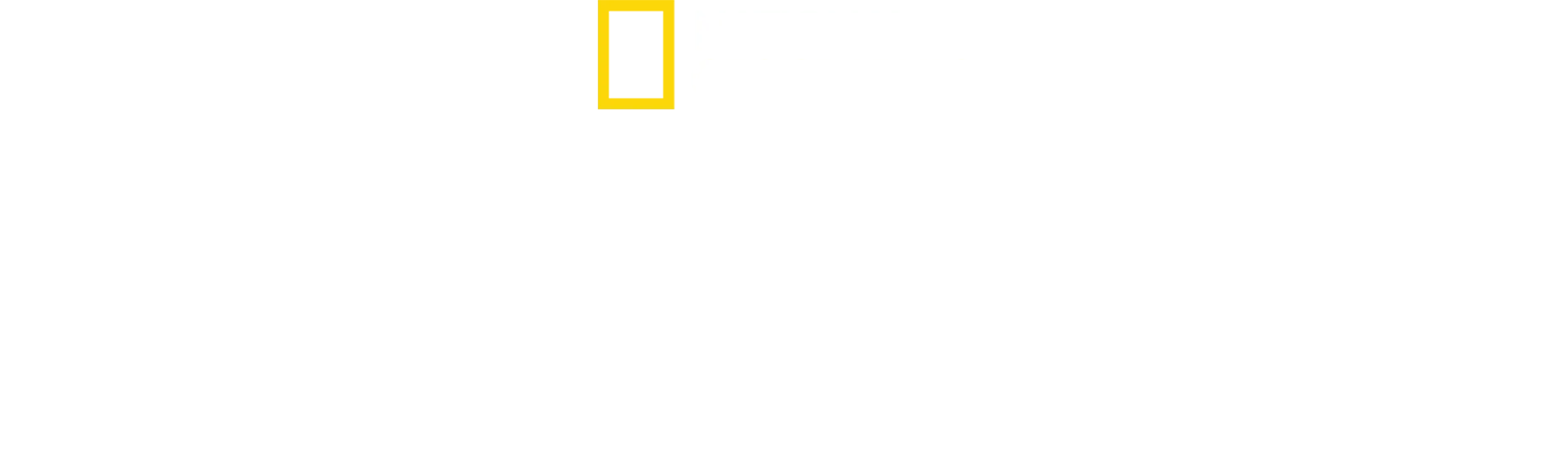 The Rescue