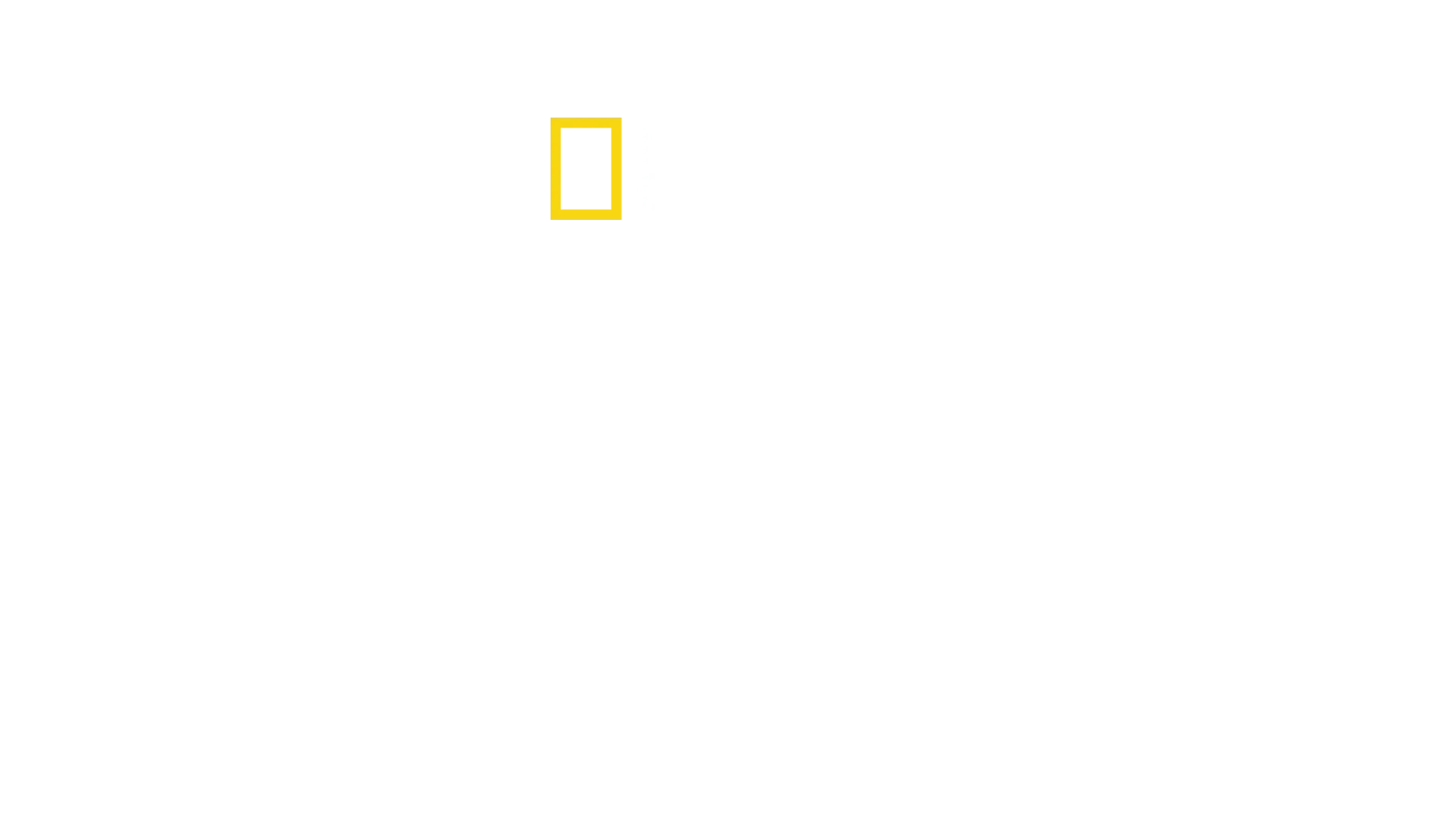 ザ･レスキュー タイ洞窟救出の奇跡