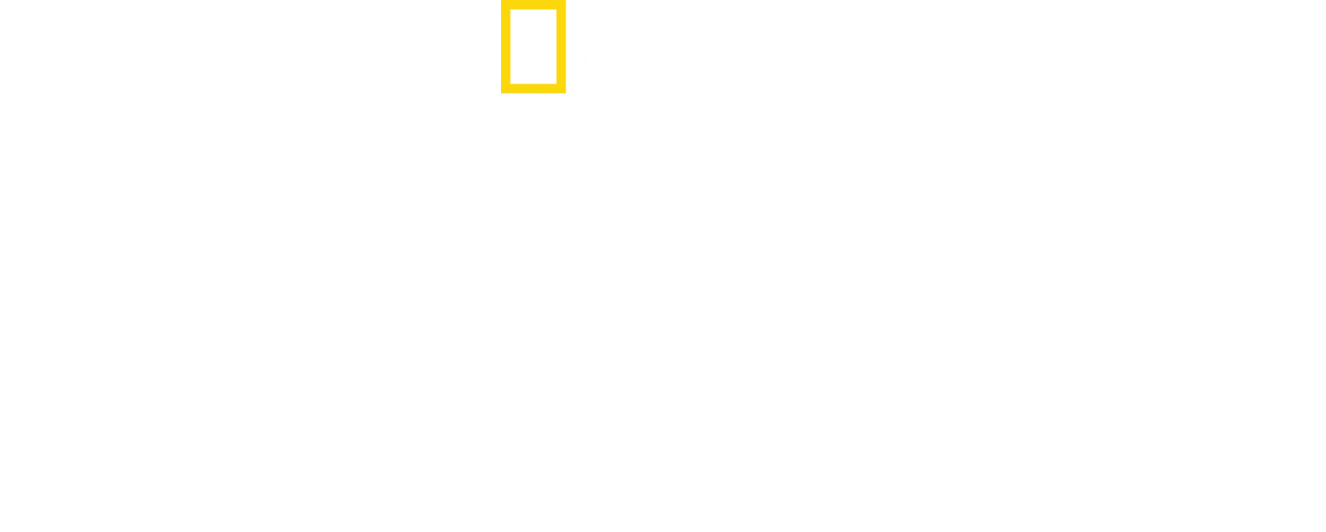 ザ･レスキュー タイ洞窟救出の奇跡