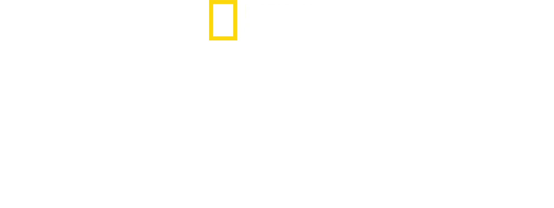 위대한 구조