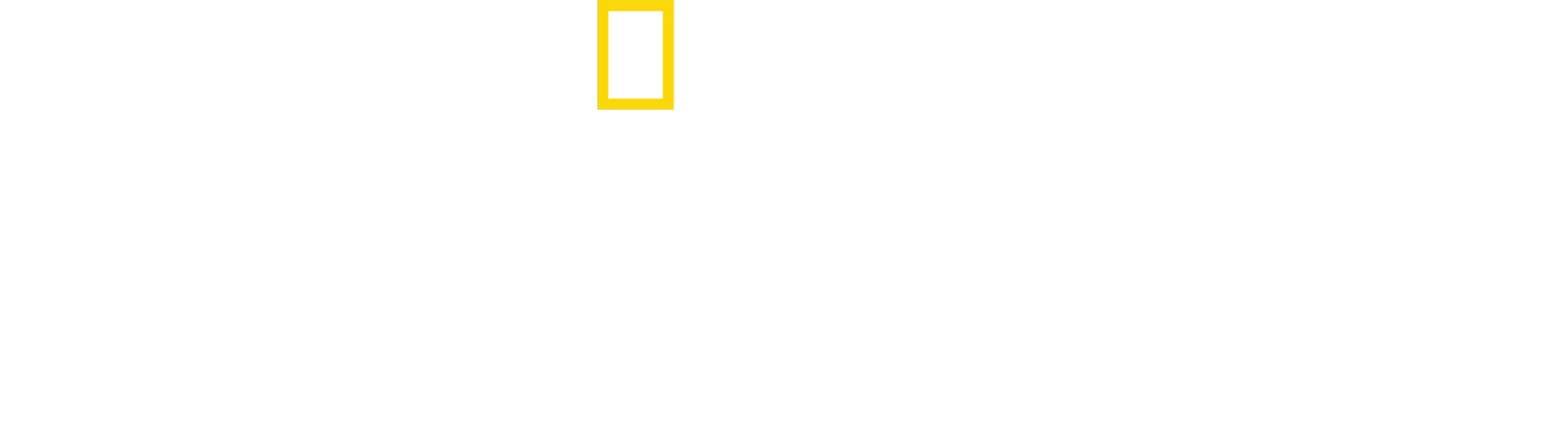洞穴救援行動