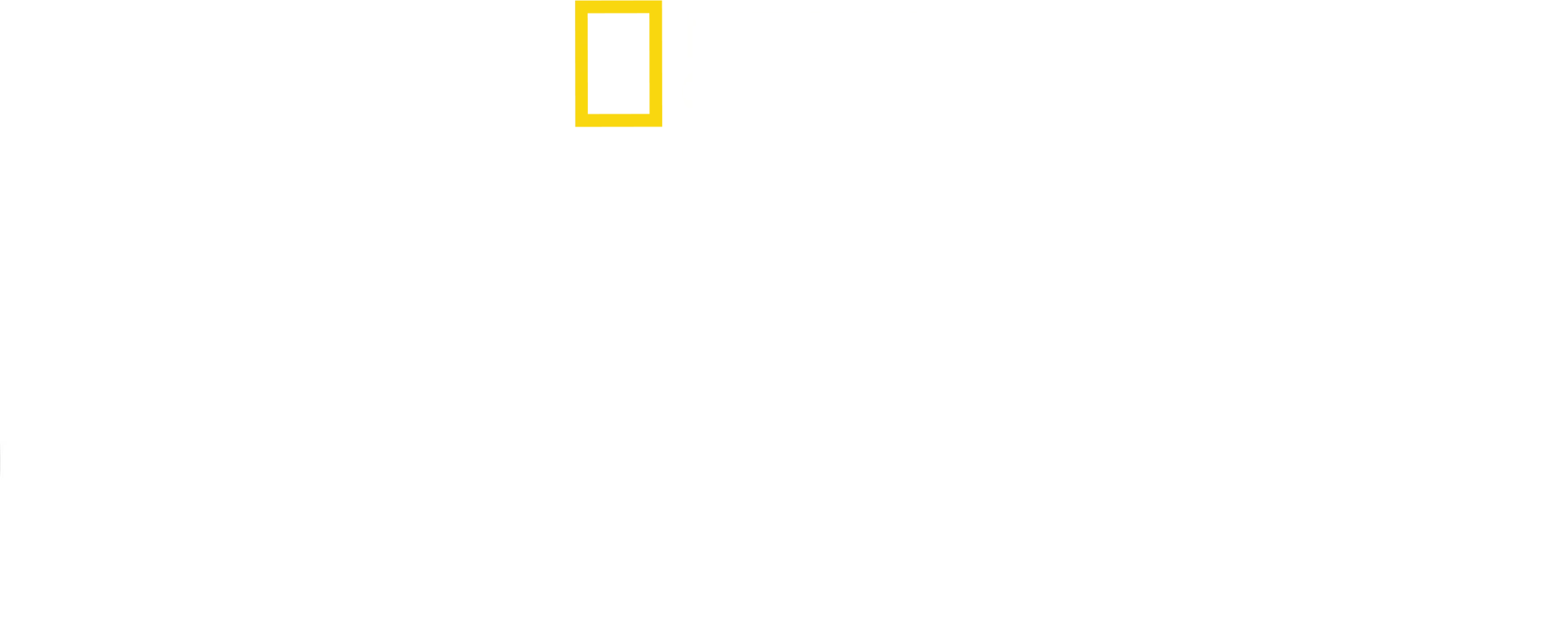 Pod hladinou s Cousteauem