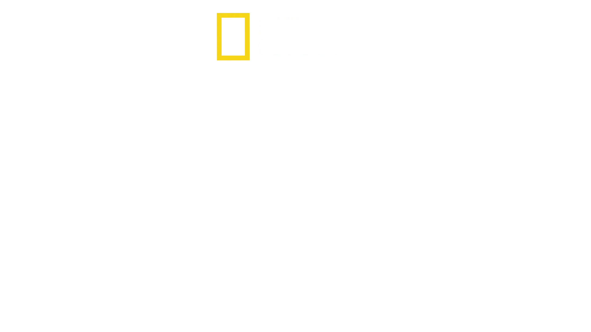 Η Ιστορία του Κουστώ