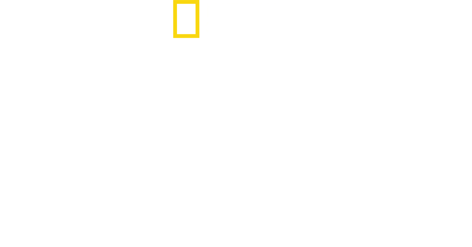 Η Ιστορία του Κουστώ