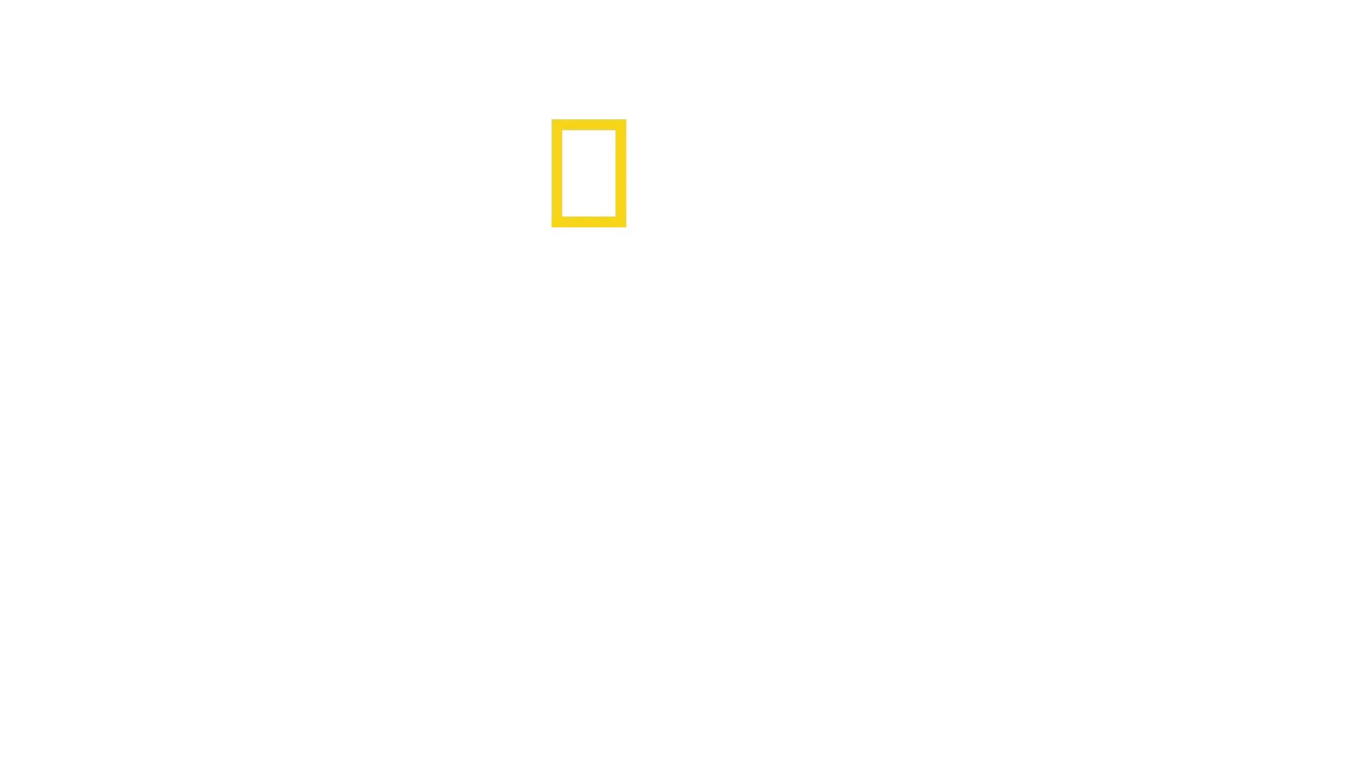 Cousteau : de l’homme à la légende