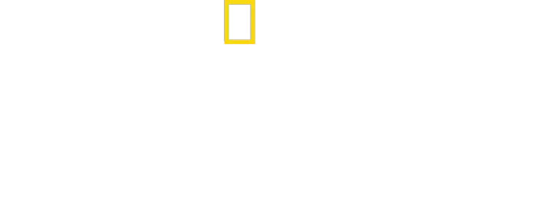 Cousteau : de l’homme à la légende