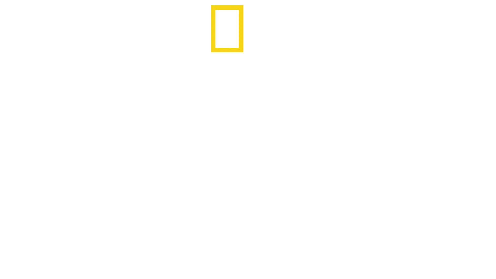 Jacques Cousteau: Il figlio dell'oceano