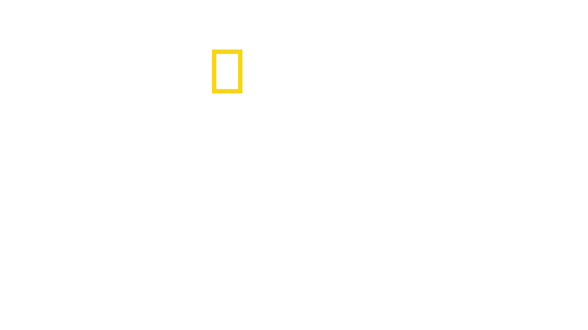 海洋探検家クストーの遺産