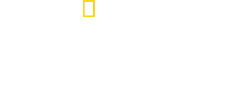 海洋探検家クストーの遺産