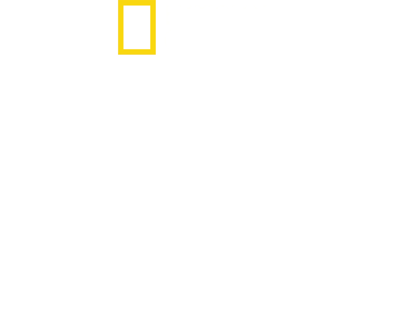 캡틴, 쿠스토