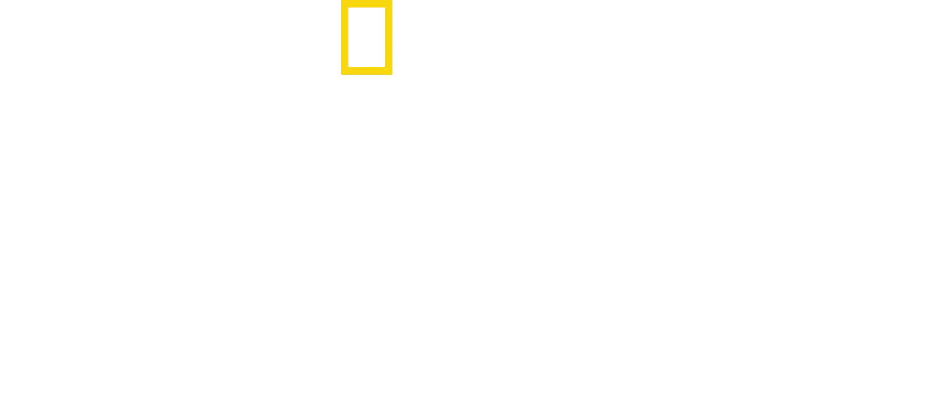 海洋保衛者雅克庫斯托
