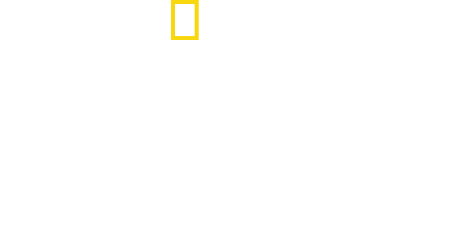 海洋卫士雅克·库斯托