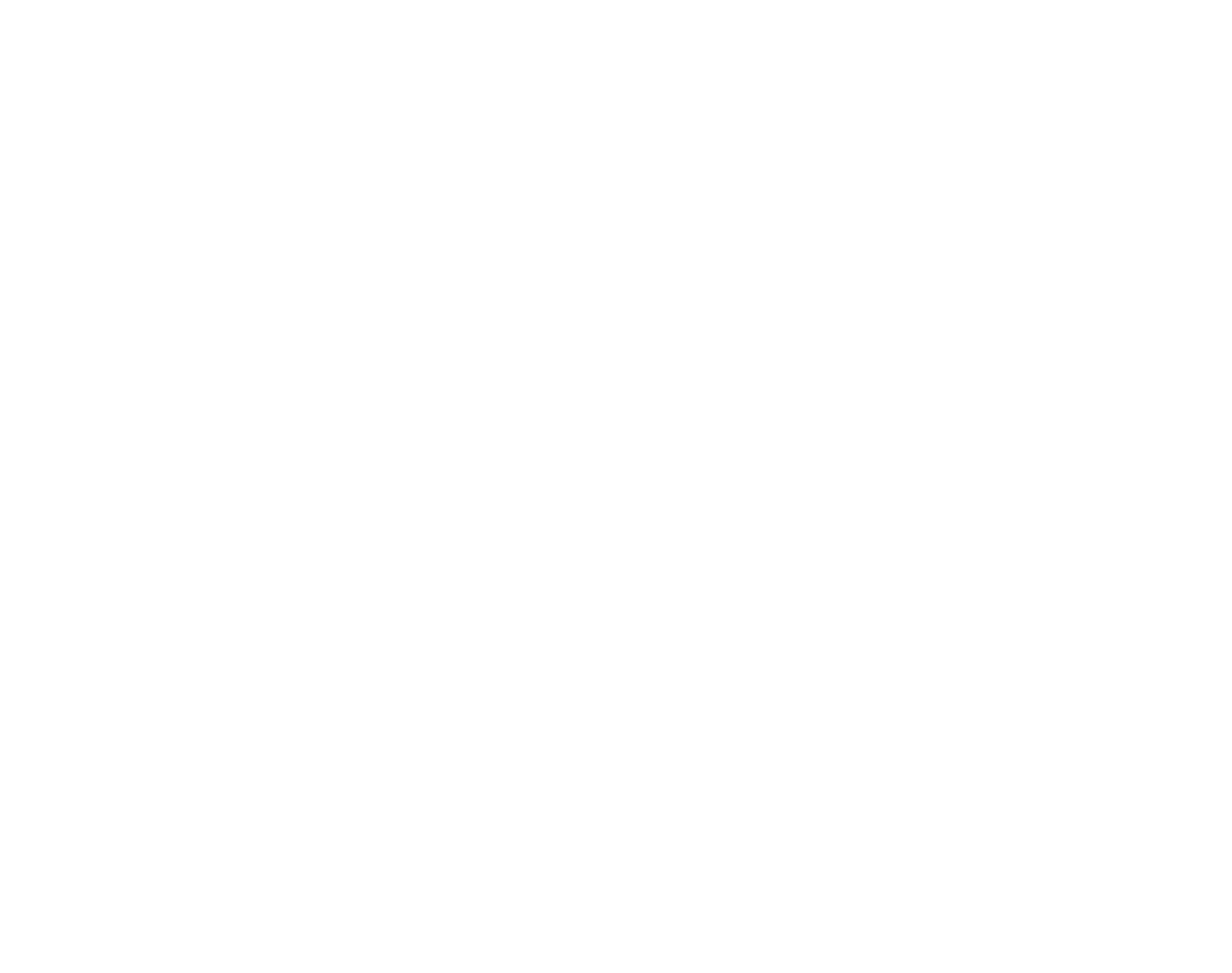 Roni on rikki