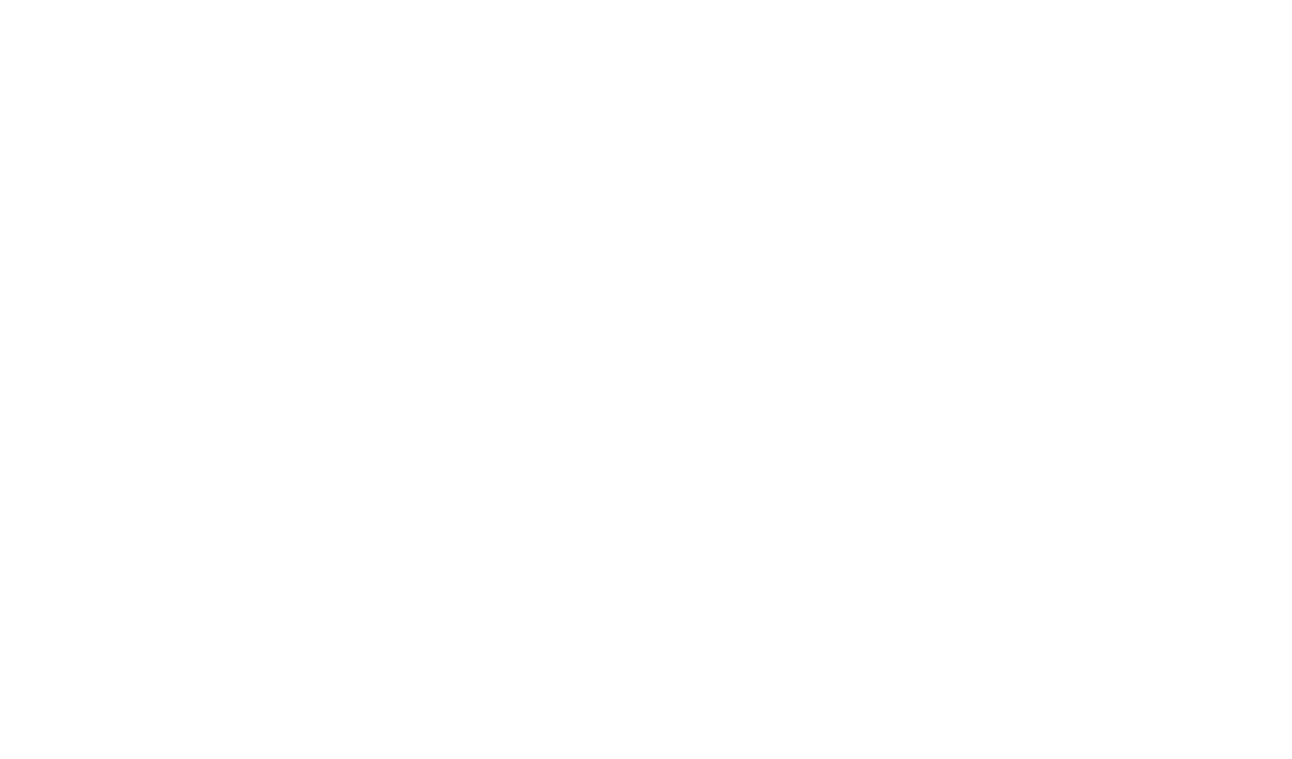Ron Ne Va Plus