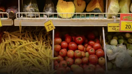 The Struggle for Food Assistance